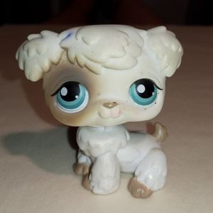 Lps pet Littlest Pet Shop toy White Poodle dog#204 blue eyes